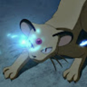 Meet your Posher, Minal